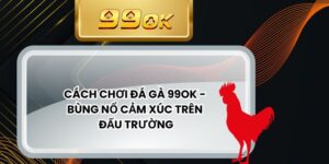 Cách Chơi Đá Gà 99ok - Bùng Nổ Cảm Xúc Trên Đấu Trường