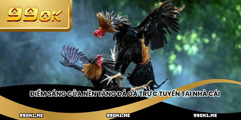 Điểm sáng của nền tảng đá gà trực tuyến tại nhà cái
