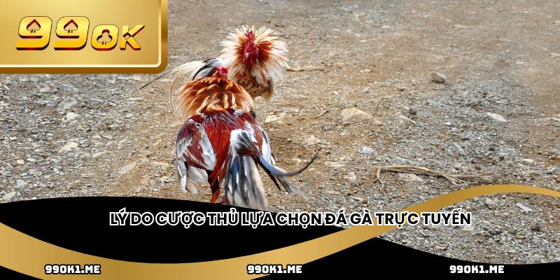 Lý do cược thủ lựa chọn đá gà trực tuyến
