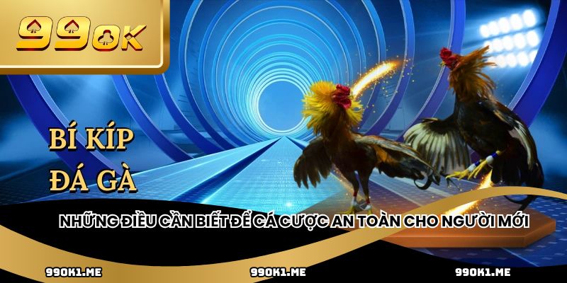 Những điều cần biết để cá cược an toàn cho người mới