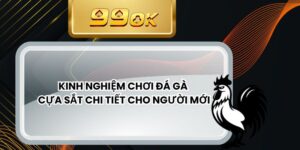 Luật Chơi Đá Gà Mỹ - Cẩm Nang Chi Tiết Cho Dân Cược