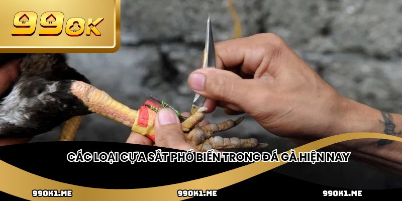 Các loại cựa sắt phổ biến trong đá gà hiện nay