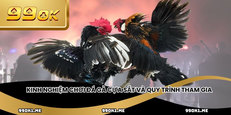 Kinh nghiệm chơi đá gà cựa sắt và quy trình tham gia 