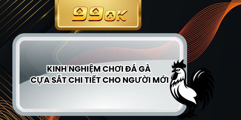 Luật Chơi Đá Gà Mỹ - Cẩm Nang Chi Tiết Cho Dân Cược
