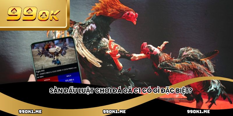 Sàn đấu luật chơi đá gà C1 có gì đặc biệt?