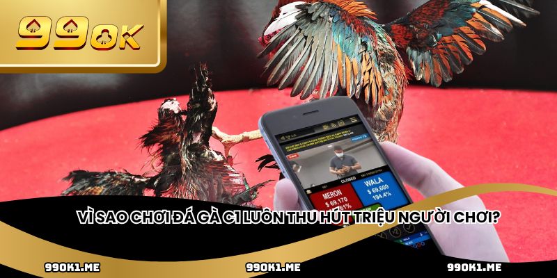 Vì sao chơi đá gà C1 luôn thu hút triệu người chơi?