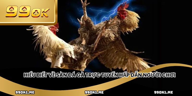 Hiểu biết về sàn đá gà trực tuyến hấp dẫn người chơi